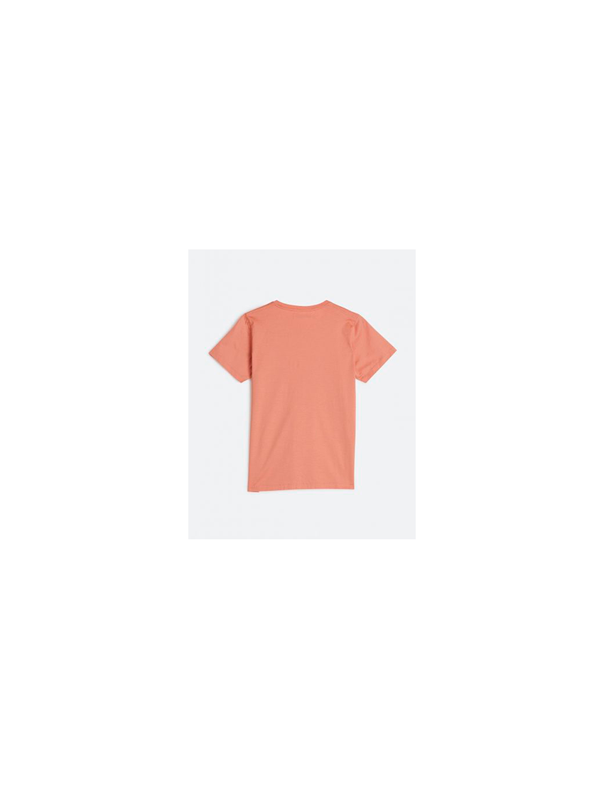 T-shirt Salmão